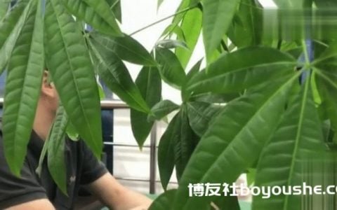 宁波一男子参与网络赌博，“3个A”被“235”吃掉，一把输掉25万