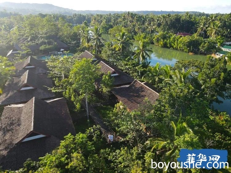 薄荷岛之旅——从幽闭空灵的河畔隐士小屋到血腥喧嚣的斗鸡场