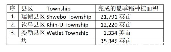 实皆省瑞帽专区及耶乌专区完成了夏季稻5万多英亩的种植工作