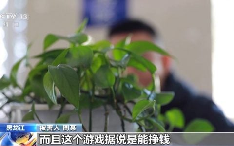 涉案10亿！鸡西警方打掉特大网络赌博犯罪团伙