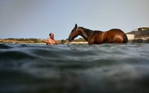 马耳他：大海成赛马训练场