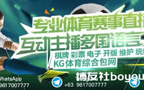 KG体育包网