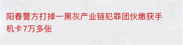 阳春警方打掉一黑灰产业链犯罪团伙缴获手机卡7万多张