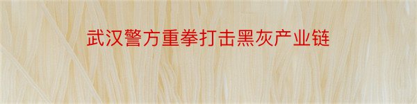 武汉警方重拳打击黑灰产业链