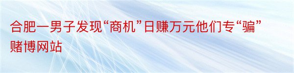 合肥一男子发现“商机”日赚万元他们专“骗”赌博网站