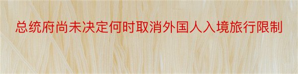 总统府尚未决定何时取消外国人入境旅行限制