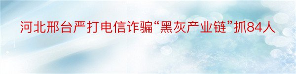 河北邢台严打电信诈骗“黑灰产业链”抓84人