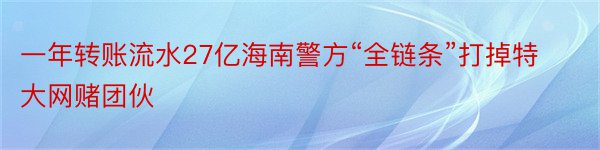 一年转账流水27亿海南警方“全链条”打掉特大网赌团伙