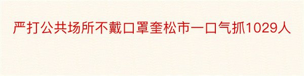 严打公共场所不戴口罩奎松市一口气抓1029人