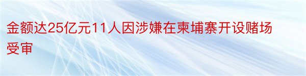 金额达25亿元11人因涉嫌在柬埔寨开设赌场受审