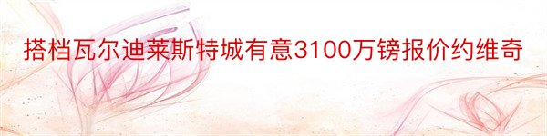 搭档瓦尔迪莱斯特城有意3100万镑报价约维奇