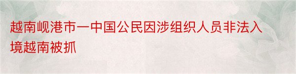 越南岘港市一中国公民因涉组织人员非法入境越南被抓