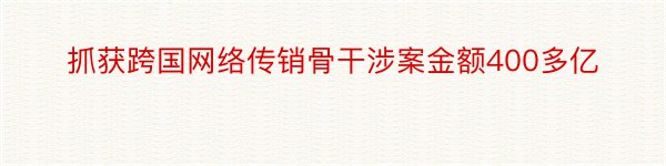 抓获跨国网络传销骨干涉案金额400多亿