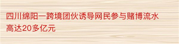 四川绵阳一跨境团伙诱导网民参与赌博流水高达20多亿元