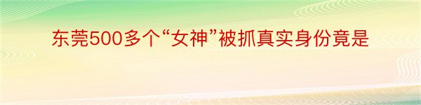 东莞500多个“女神”被抓真实身份竟是