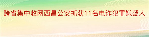 跨省集中收网西昌公安抓获11名电诈犯罪嫌疑人