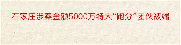 石家庄涉案金额5000万特大“跑分”团伙被端