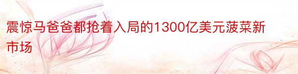 震惊马爸爸都抢着入局的1300亿美元菠菜新市场