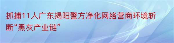 抓捕11人广东揭阳警方净化网络营商环境斩断“黑灰产业链”