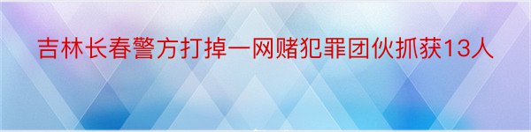 吉林长春警方打掉一网赌犯罪团伙抓获13人