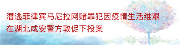 潜逃菲律宾马尼拉网赌罪犯因疫情生活维艰在湖北咸安警方敦促下投案