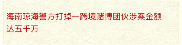 海南琼海警方打掉一跨境赌博团伙涉案金额达五千万