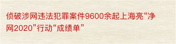 侦破涉网违法犯罪案件9600余起上海亮“净网2020”行动“成绩单”