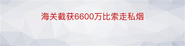 海关截获6600万比索走私烟