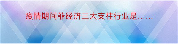 疫情期间菲经济三大支柱行业是……