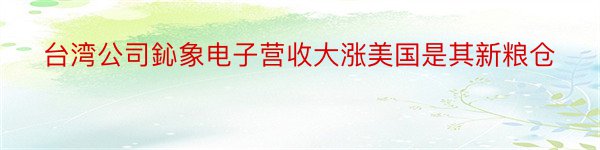 台湾公司鈊象电子营收大涨美国是其新粮仓