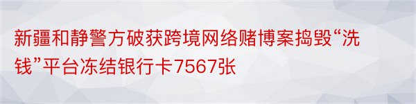 新疆和静警方破获跨境网络赌博案捣毁“洗钱”平台冻结银行卡7567张