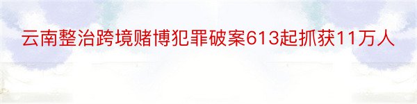 云南整治跨境赌博犯罪破案613起抓获11万人