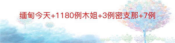 缅甸今天+1180例木姐+3例密支那+7例