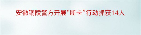 安徽铜陵警方开展“断卡”行动抓获14人