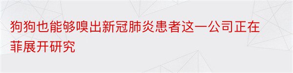 狗狗也能够嗅出新冠肺炎患者这一公司正在菲展开研究