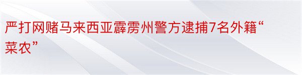 严打网赌马来西亚霹雳州警方逮捕7名外籍“菜农”