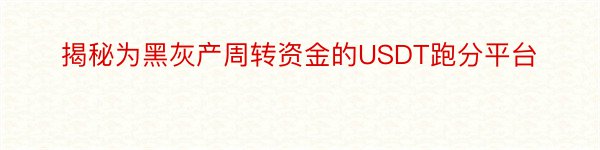 揭秘为黑灰产周转资金的USDT跑分平台