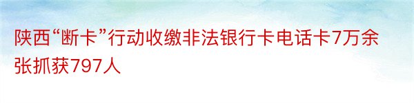 陕西“断卡”行动收缴非法银行卡电话卡7万余张抓获797人