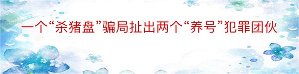 一个“杀猪盘”骗局扯出两个“养号”犯罪团伙