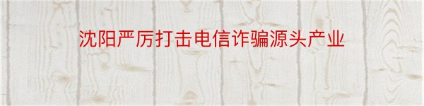 沈阳严厉打击电信诈骗源头产业