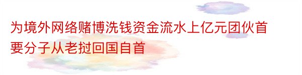 为境外网络赌博洗钱资金流水上亿元团伙首要分子从老挝回国自首