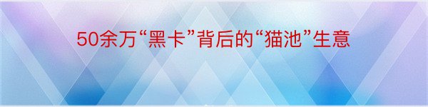 50余万“黑卡”背后的“猫池”生意