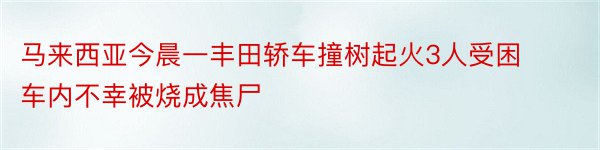 马来西亚今晨一丰田轿车撞树起火3人受困车内不幸被烧成焦尸